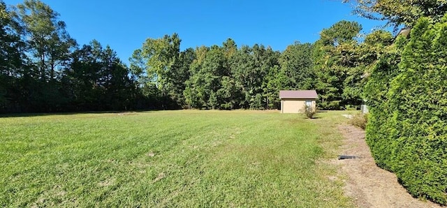 view of yard featuring a storage shed