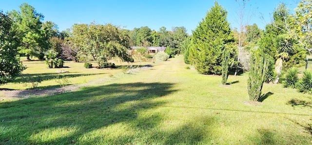 view of yard with a rural view