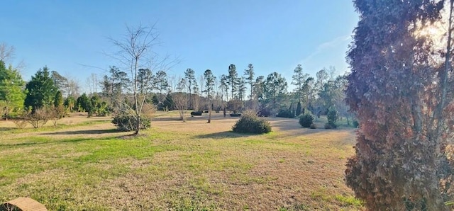 view of yard with a rural view