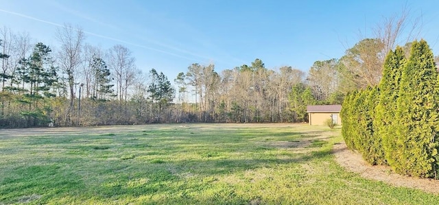 view of yard with a storage unit