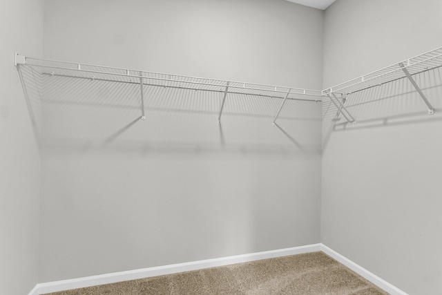 327 Hillman Trl Dr, Moncks Corner, SC 29461 - spacious closet with carpet