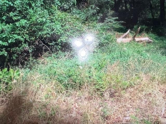 0 Plantation Estates Ln, Gaston, SC 29053