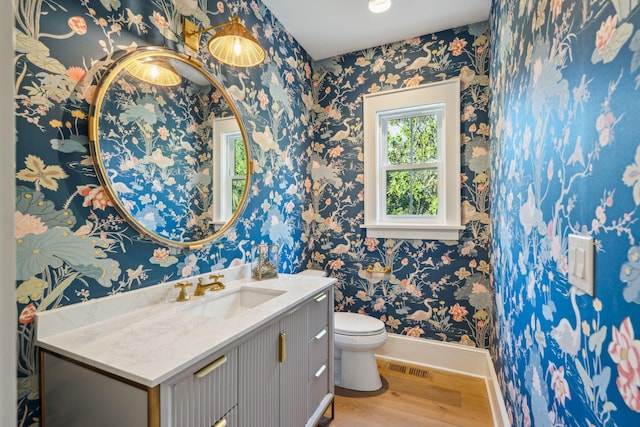 bathroom featuring toilet, vanity, and hardwood / wood-style floors