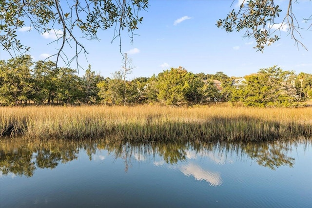 1894 Capri Dr, Charleston, SC 29407 - water view