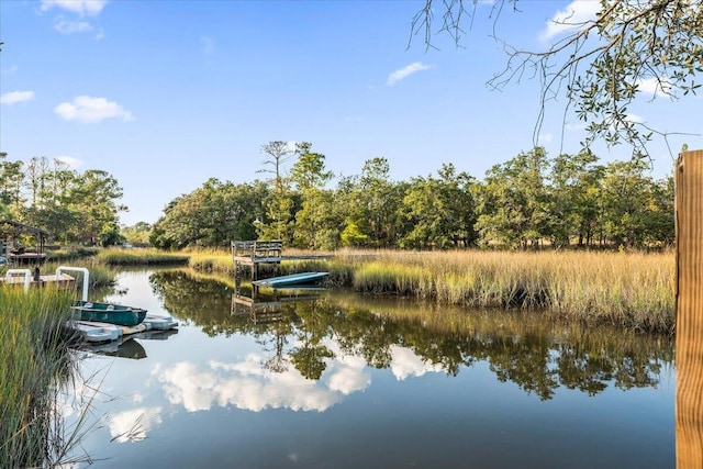1894 Capri Dr, Charleston, SC 29407 - water view featuring a dock