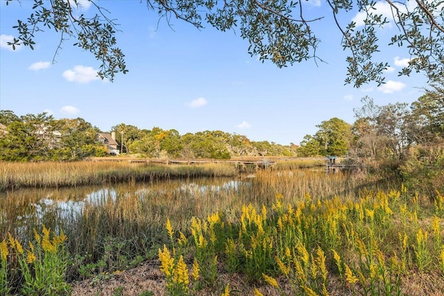 1894 Capri Dr, Charleston, SC 29407 - water view