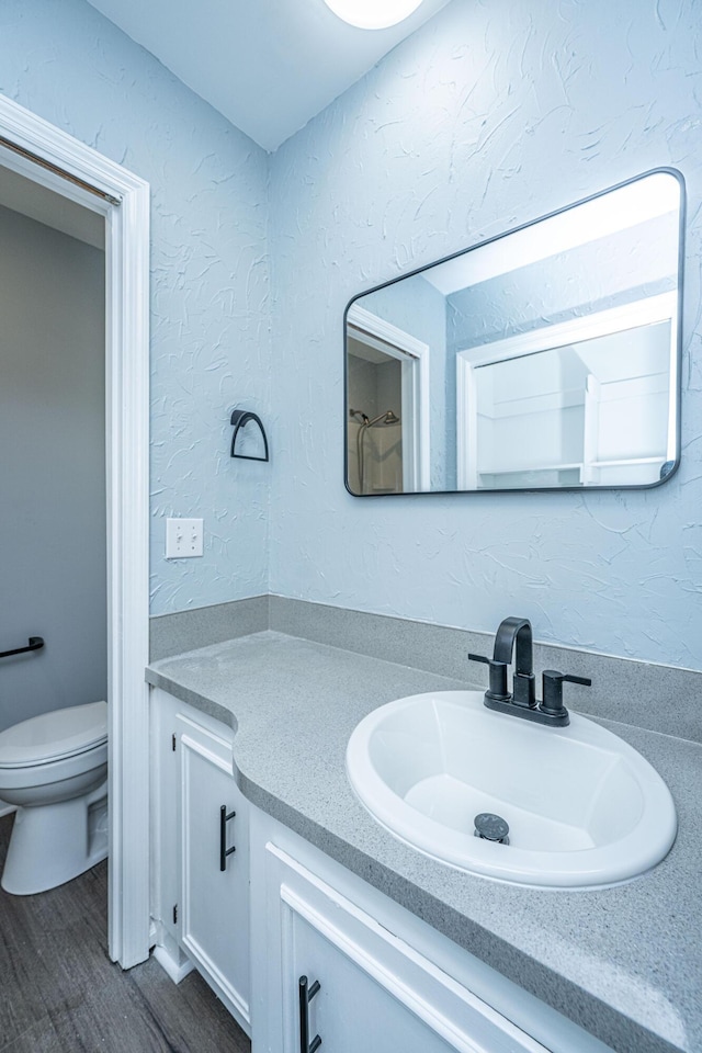 bathroom with vanity, toilet, and wood finished floors