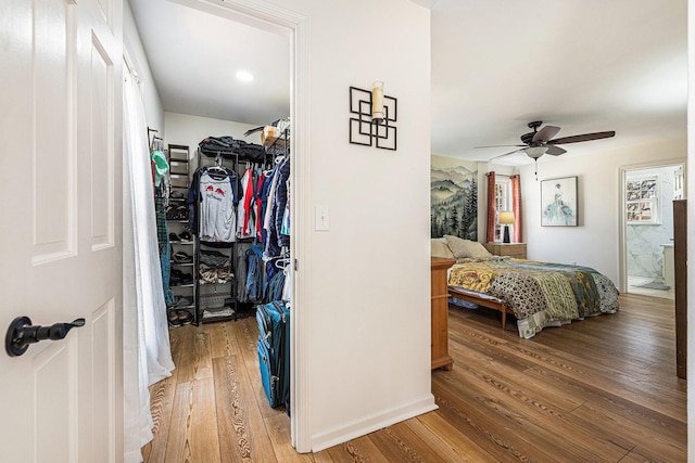 bedroom featuring light wood-style flooring, a ceiling fan, a walk in closet, and a closet