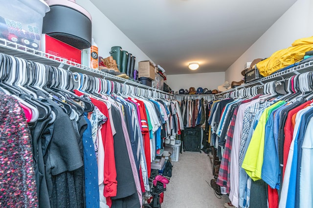 walk in closet featuring carpet flooring