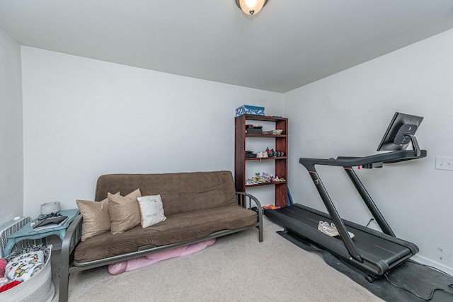 workout room featuring carpet flooring