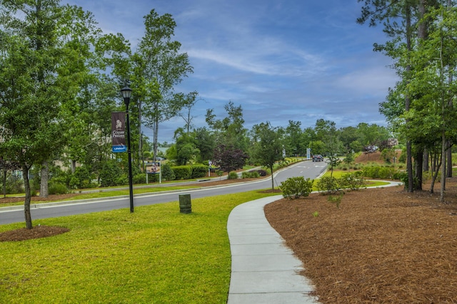 view of property's community featuring a lawn