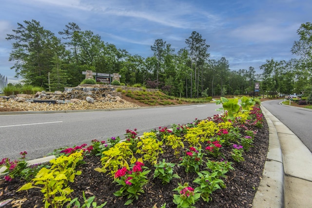 view of road with curbs