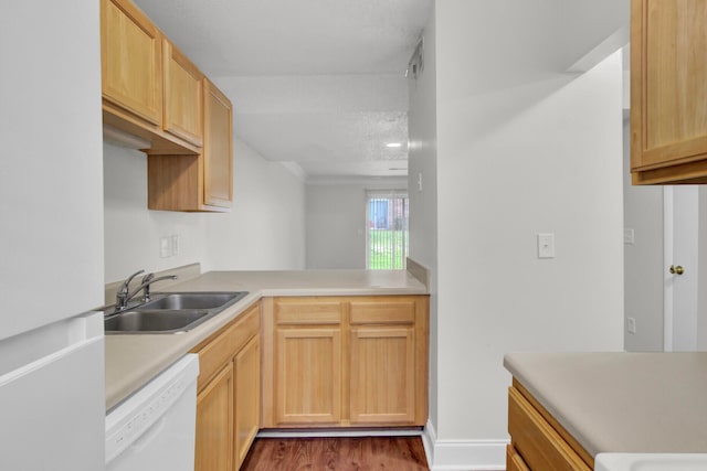 kitchen with light brown cabinetry, white appliances, dark hardwood / wood-style floors, and sink