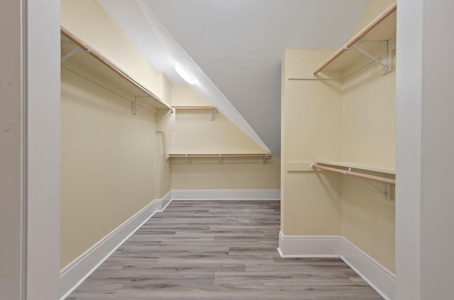 spacious closet with hardwood / wood-style flooring