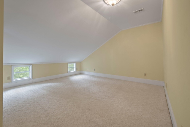 additional living space with carpet and vaulted ceiling