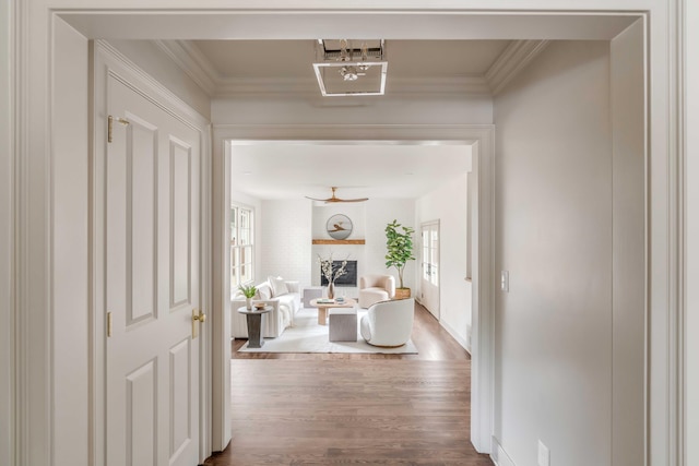 hallway with plenty of natural light, wood-type flooring, and ornamental molding