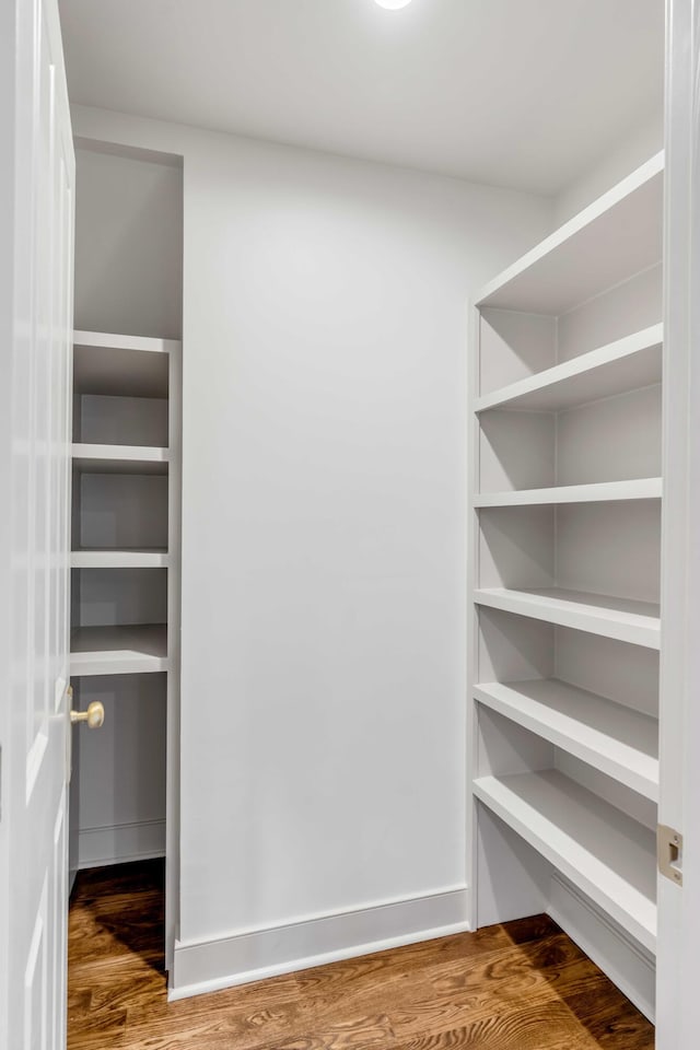 spacious closet with wood-type flooring