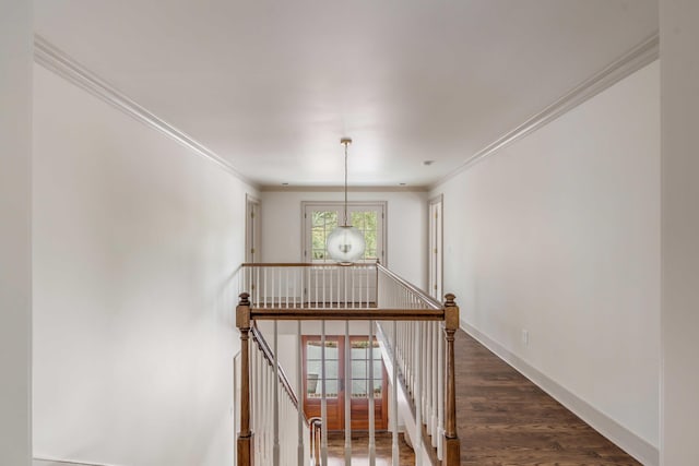 stairway featuring hardwood / wood-style floors and crown molding