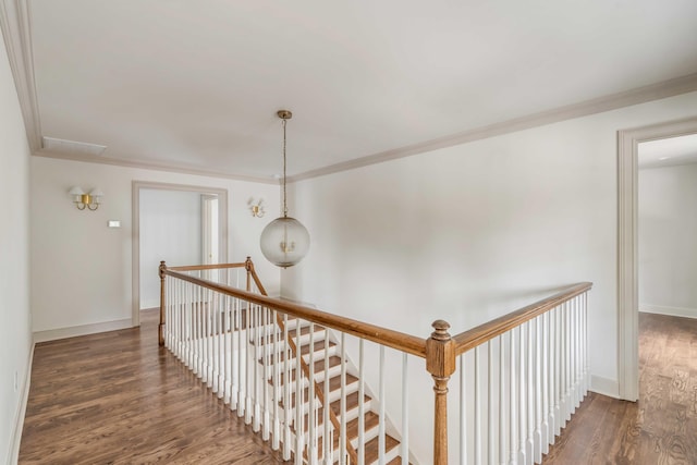 hallway with dark hardwood / wood-style floors and crown molding