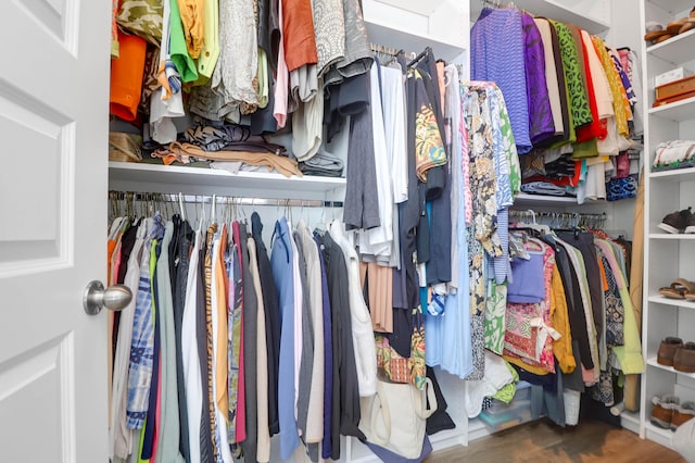 spacious closet with hardwood / wood-style floors