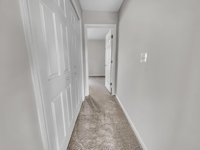 hallway with carpet