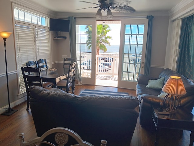 living room with dark hardwood / wood-style floors, ornamental molding, ceiling fan, and a wealth of natural light