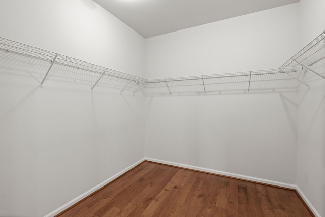 walk in closet with wood finished floors