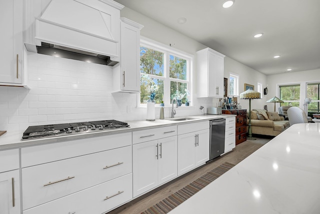 kitchen with a sink, white cabinets, appliances with stainless steel finishes, custom exhaust hood, and dark wood finished floors