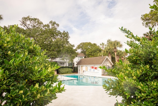 view of swimming pool with a patio area