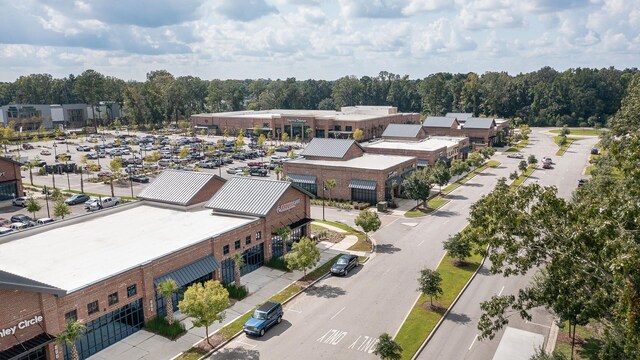 462 Maple Oak Ln, Charleston, SC 29414 - bird's eye view