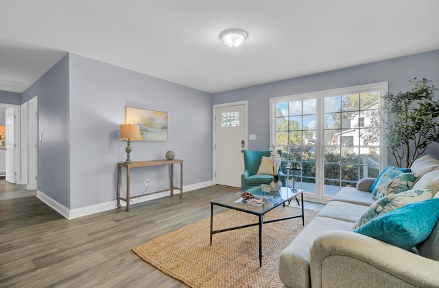 living room with hardwood / wood-style floors