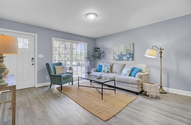 living room featuring wood-type flooring