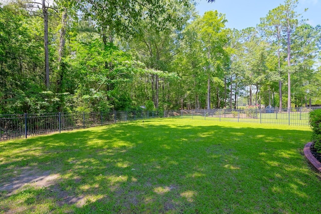 101 Firestone Ct, Summerville, SC 29483 - view of yard