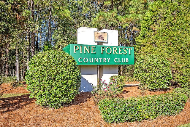 101 Firestone Ct, Summerville, SC 29483 - exterior view