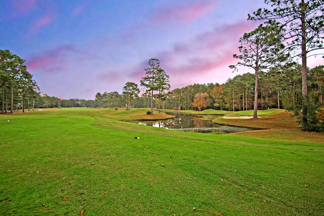 101 Firestone Ct, Summerville, SC 29483 - surrounding community featuring a water view, golf course view, a lawn, and view of scattered trees