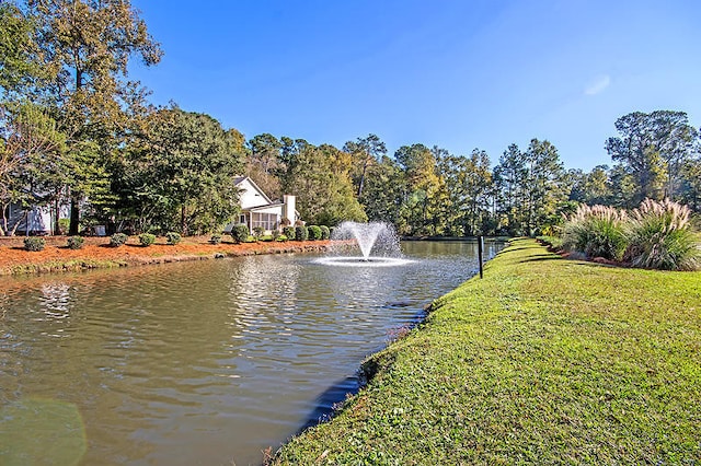 101 Firestone Ct, Summerville, SC 29483 - water view