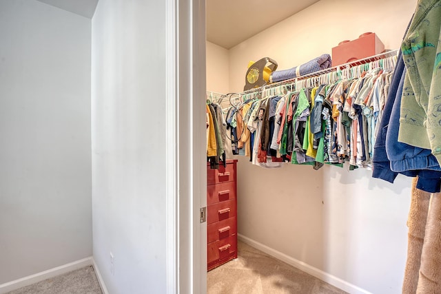 walk in closet with carpet flooring