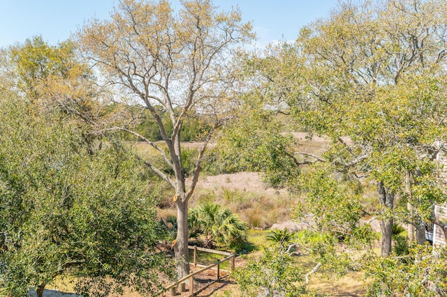 view of local wilderness