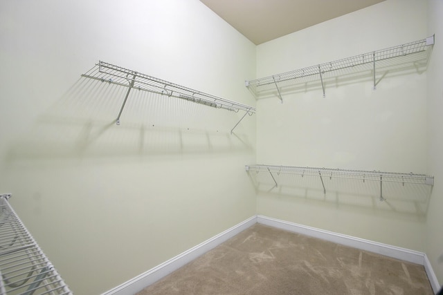 walk in closet with carpet flooring
