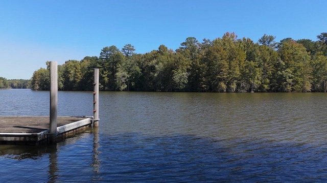 dock area with a water view and a forest view