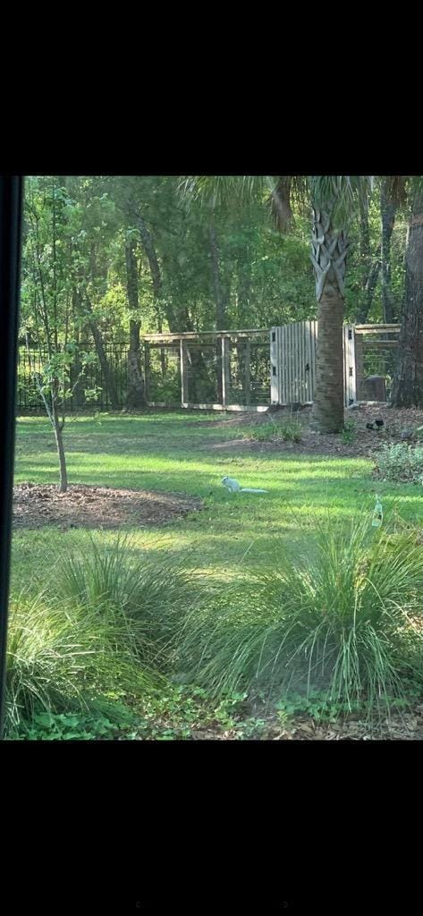5423 Buckeye Rd, Hollywood, SC 29449 - view of yard