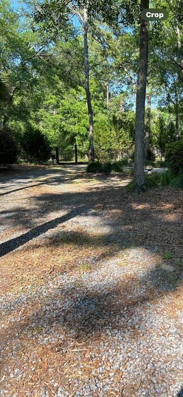 5423 Buckeye Rd, Hollywood, SC 29449 - view of yard