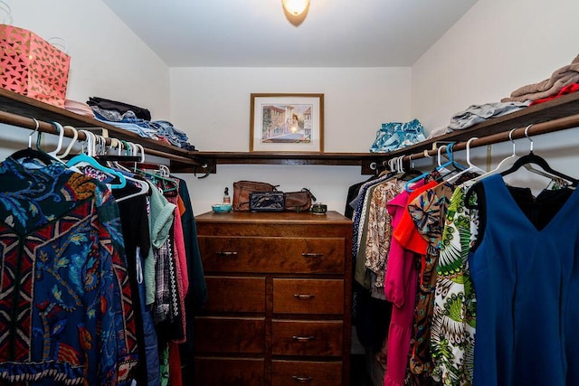 view of walk in closet