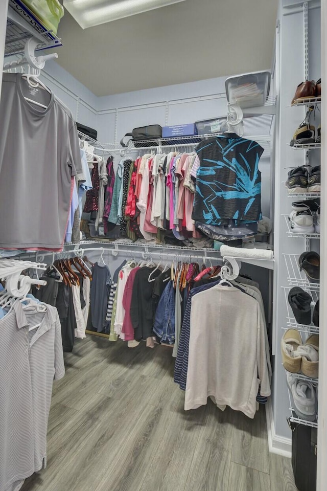 walk in closet featuring wood-type flooring