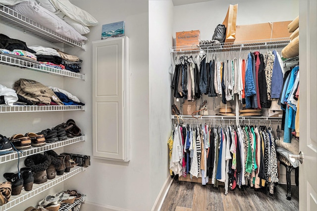 145 Pier View St Unit 111, Charleston, SC 29492 - spacious closet with wood finished floors