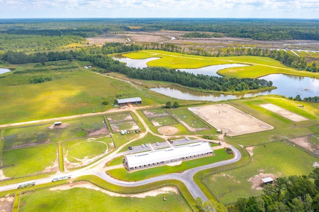 4343 Ten Shillings Way, Ravenel, SC 29470 - drone / aerial view of a large body of water and a heavily wooded area