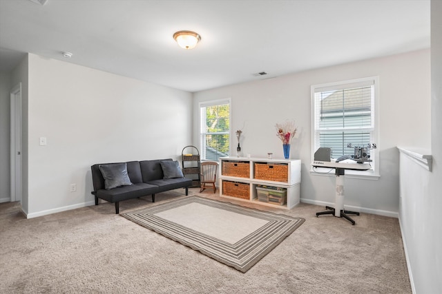 2324 Town Woods Rd, Charleston, SC 29414 - sitting room with carpet floors and baseboards