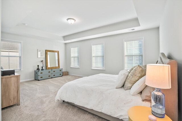 2324 Town Woods Rd, Charleston, SC 29414 - carpeted bedroom with a tray ceiling, multiple windows, and baseboards