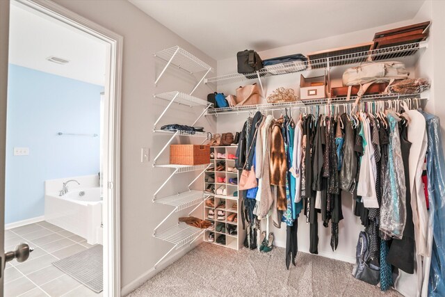 2324 Town Woods Rd, Charleston, SC 29414 - view of spacious closet