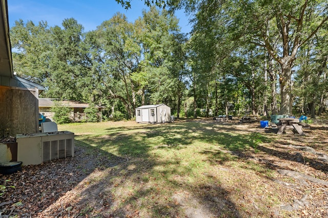 view of yard with a storage unit